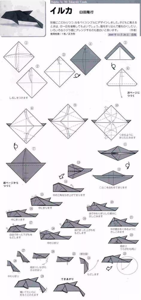 又是懒于拟标题的一天,来折海豚