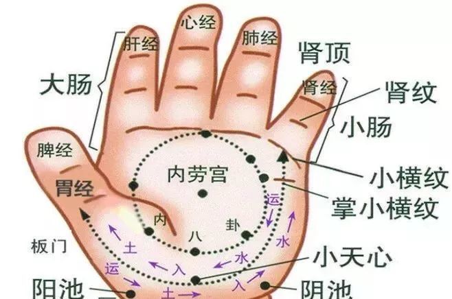 人体穴道图,值得收藏,有空捏捏,畅通心肝脾肺肾