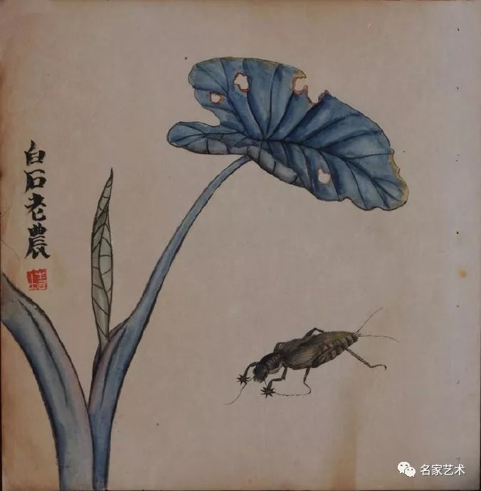 齐白石 《花鸟草虫册页》