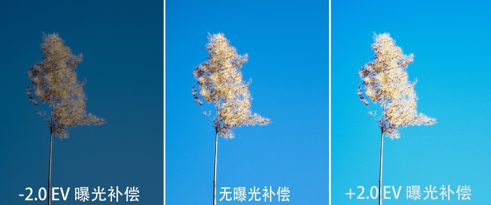 宾得多重曝光拍摄技巧_宾得 包围曝光_d700曝光包围