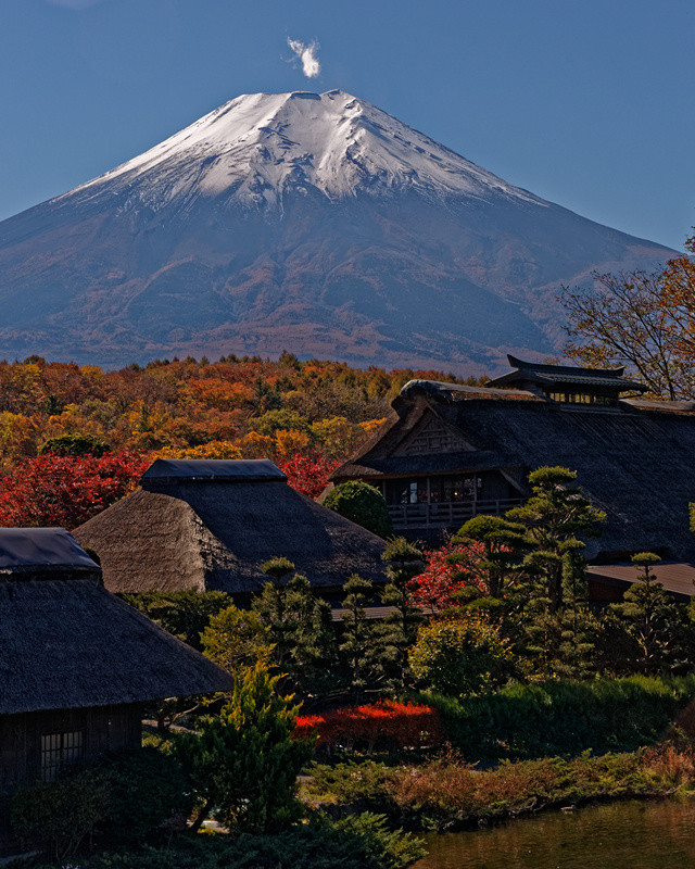 富士山的四季