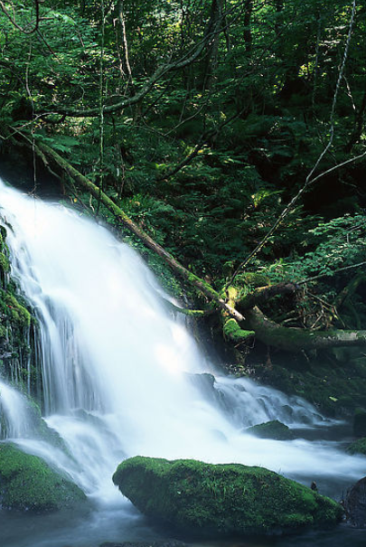 山川湍急的河流飞流而下,也不失为一道风景.