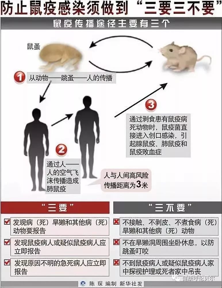 乌海专家关于鼠疫的权威解答