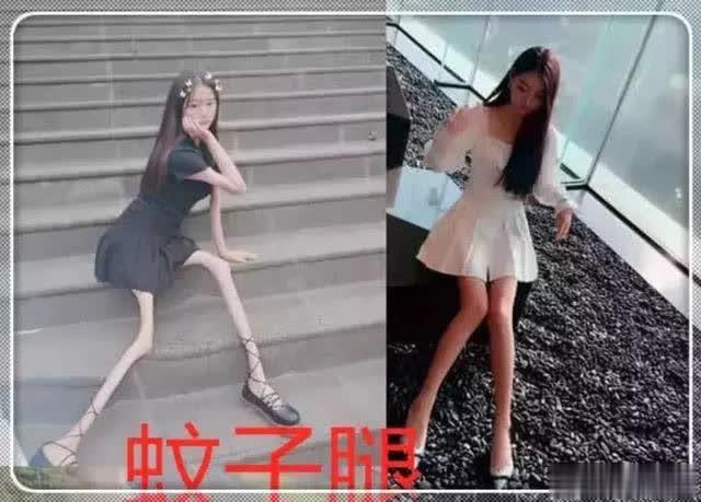 这"蚊子腿"是成精了吗?网友