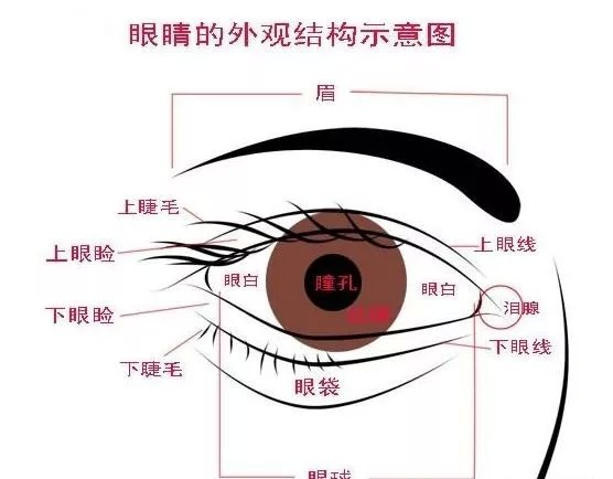 杨钧淇:眼睛算命预测人生富贵贫贱