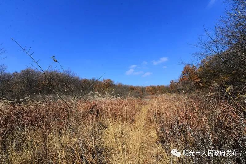 在明光,这里有一所你不了解的大横山