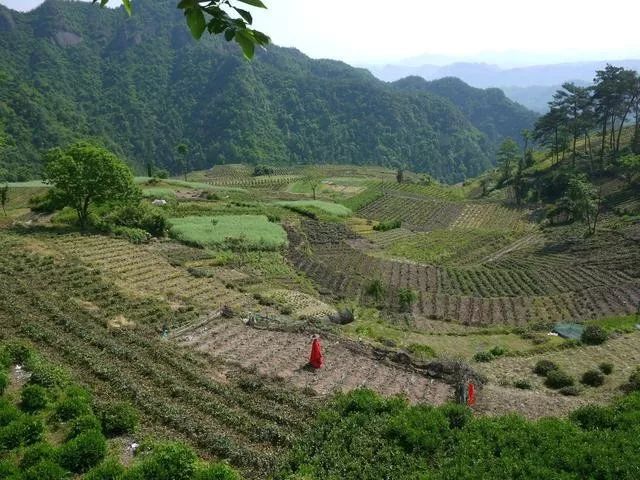 农业机械化,日本,农业机械