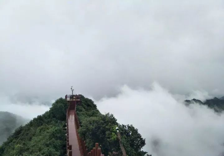 贵州,韭菜坪,黔东南,雷公山,自驾