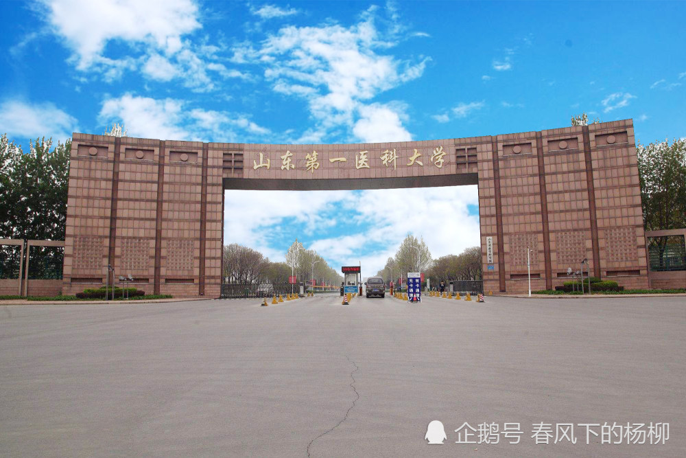 四线城市,山东第一医科大学,山东,大学,渤海,滨州