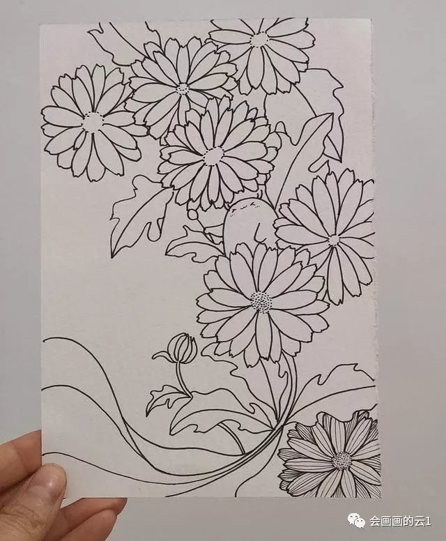 线描,针管笔,铅笔画,构图