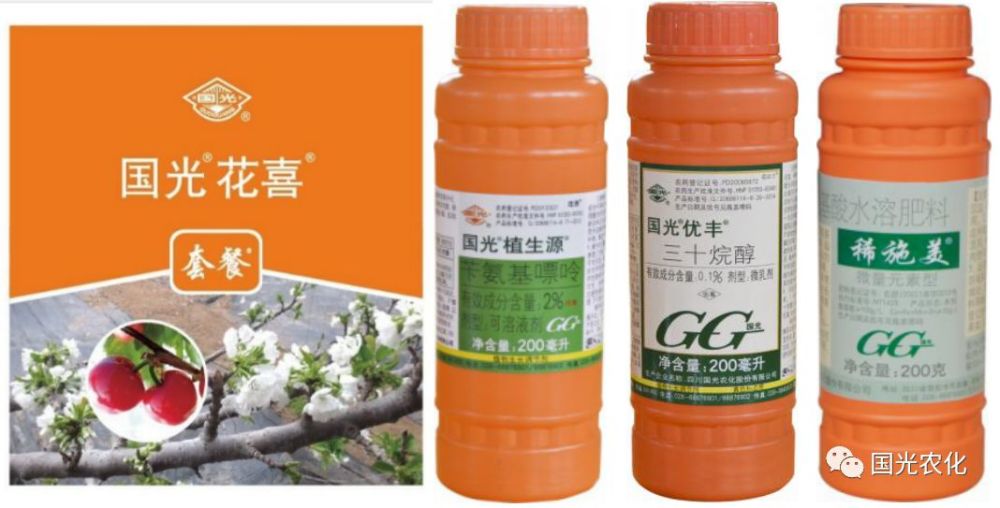 国光樱桃花喜套餐,为萌芽开花整齐而来