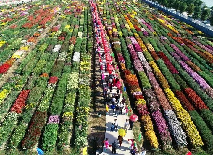 浙江,东阳市,花园村