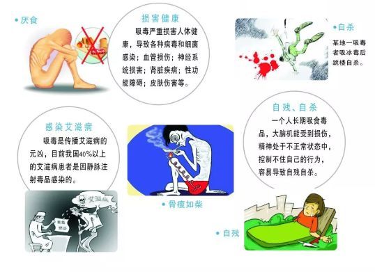 禁毒宣传小知识
