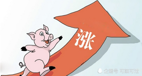 猪价跌破30元大关又要涨价,过年能不能放心吃肉?专家