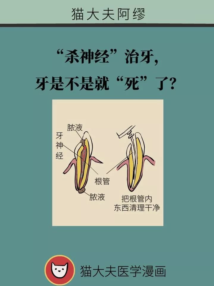 "杀神经"治牙,牙是不是就"死"了?