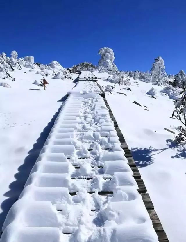 这几天轿子雪山是扎实的美啊