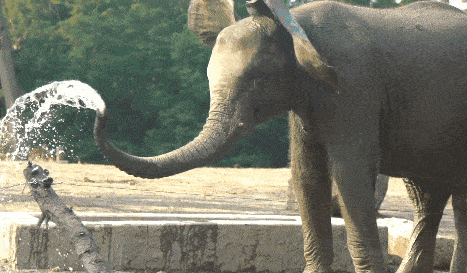 这些年你哄娃的