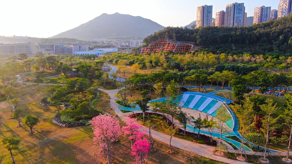 厦门岛外又新增加一处新生态公园,周边景色很美,休闲的好去处