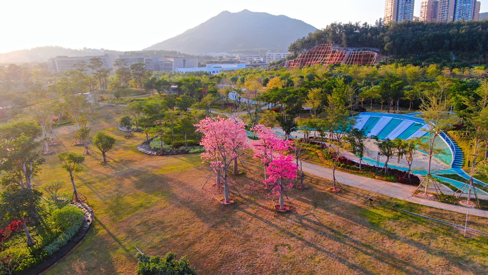 厦门岛外又新增加一处新生态公园,周边景色很美,休闲的好去处