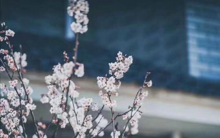 淡定从容,先行后言