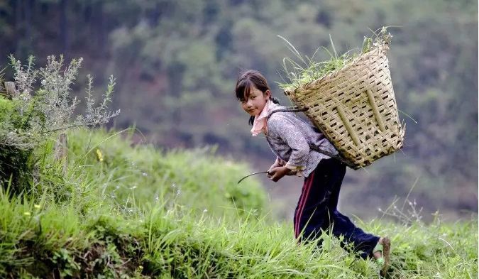 西南地区,少数民族