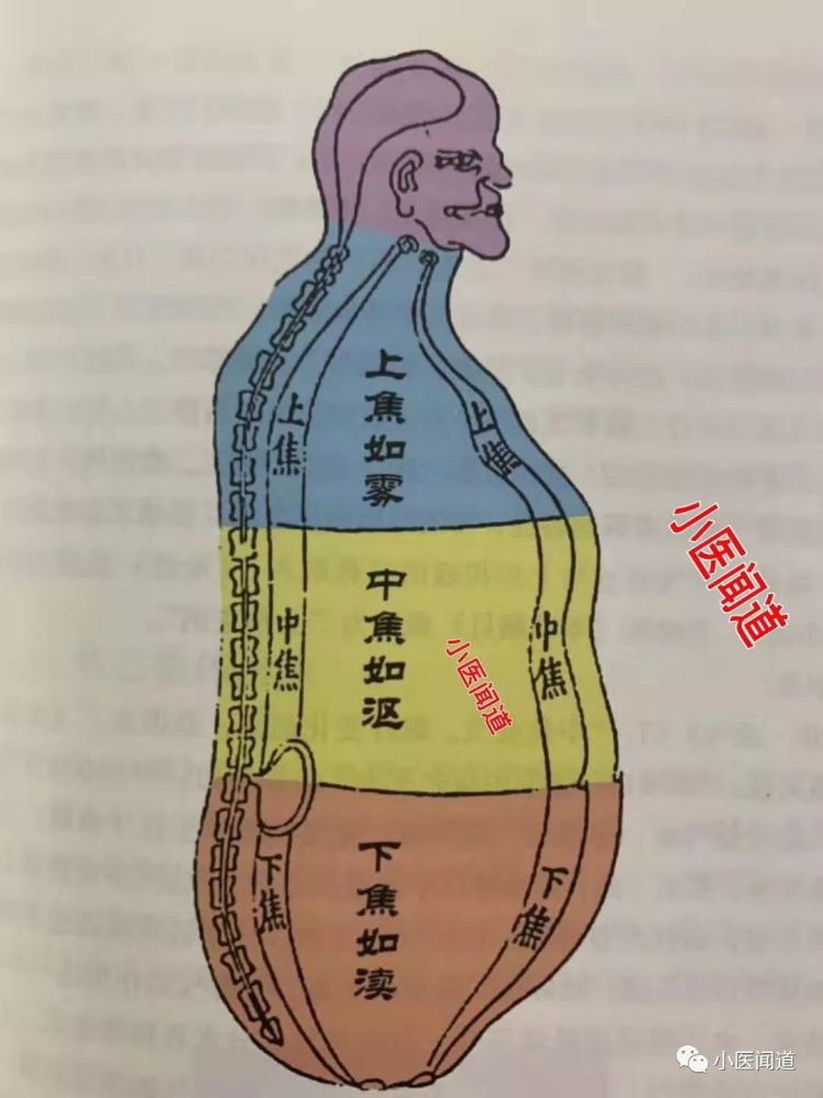 寸脉定上焦,关脉定中焦,尺脉定下焦.