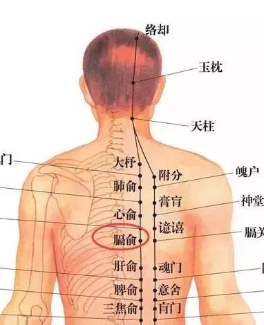艾灸一个穴,治愈女性贫血!