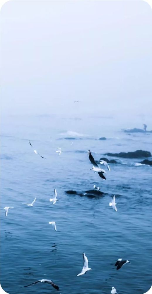 懂得退让,方显大气;知道包容,方显大度
