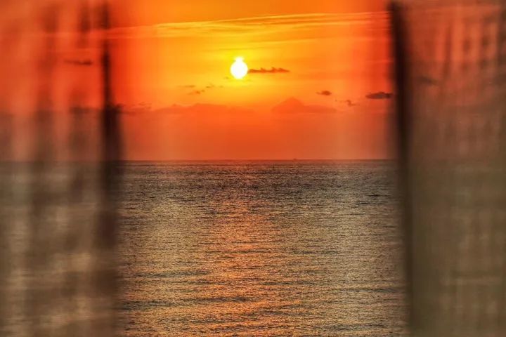 日升日落,芦苇花海,温泉美食……冬日与海为邻,可以这么玩