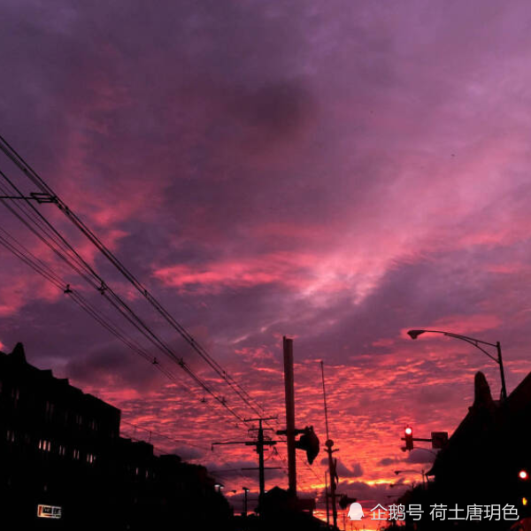 网易云热评:顺其自然是竭尽所能之后的不强求,而非两手一摊的不作为