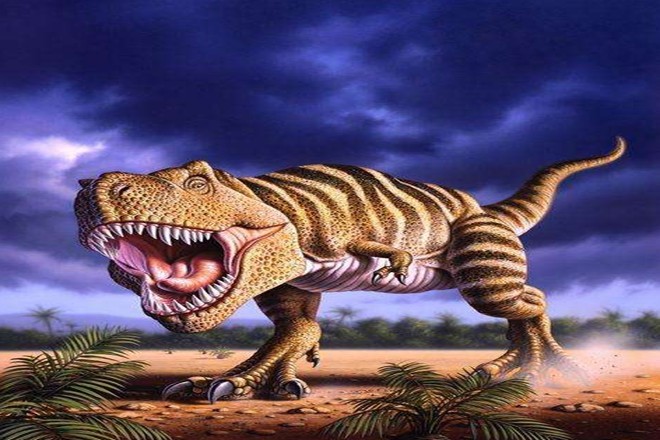 史前最大的食肉恐龙,"鲨齿龙"!
