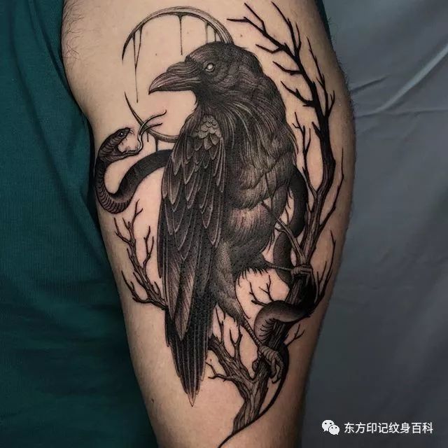 乌鸦,纹身