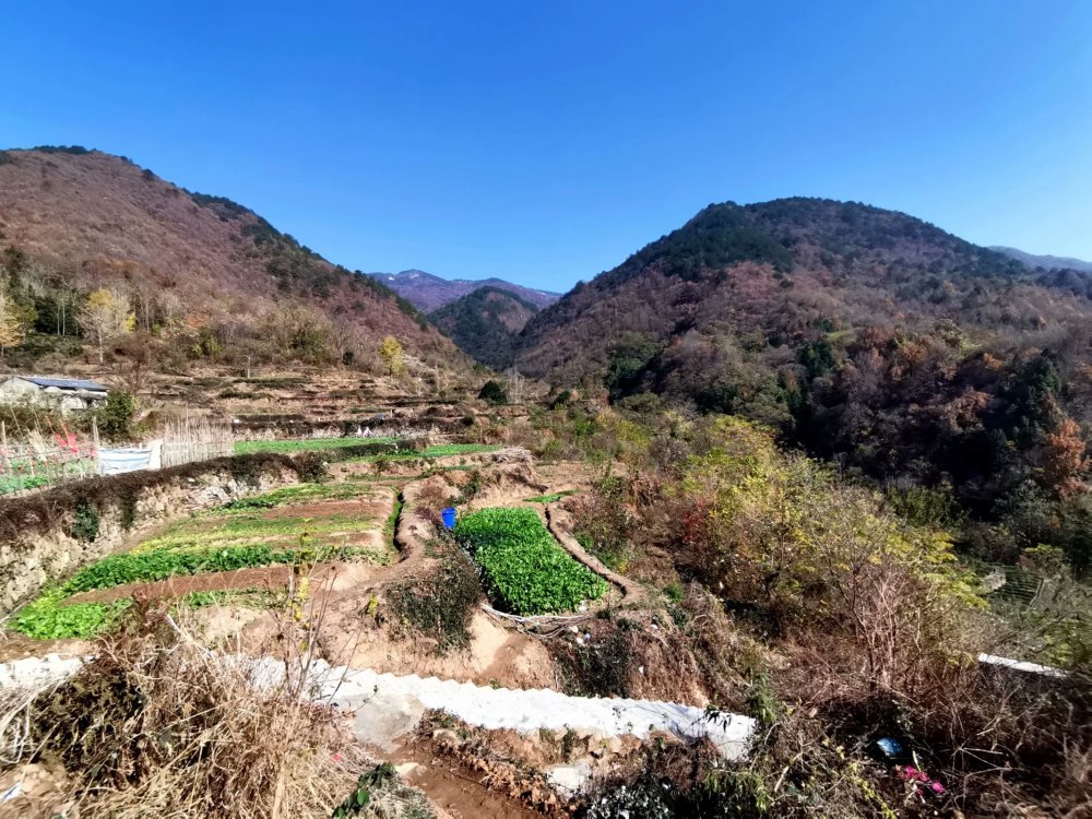 武汉抗战第一村——黄陂区姚家山村