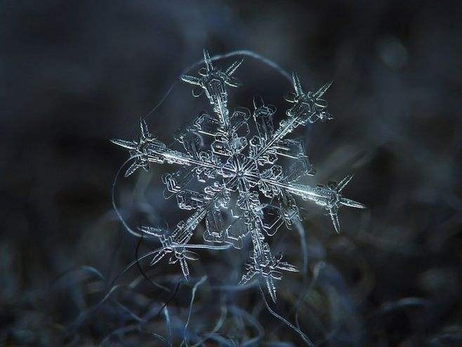 如何在微距镜头下拍摄雪花