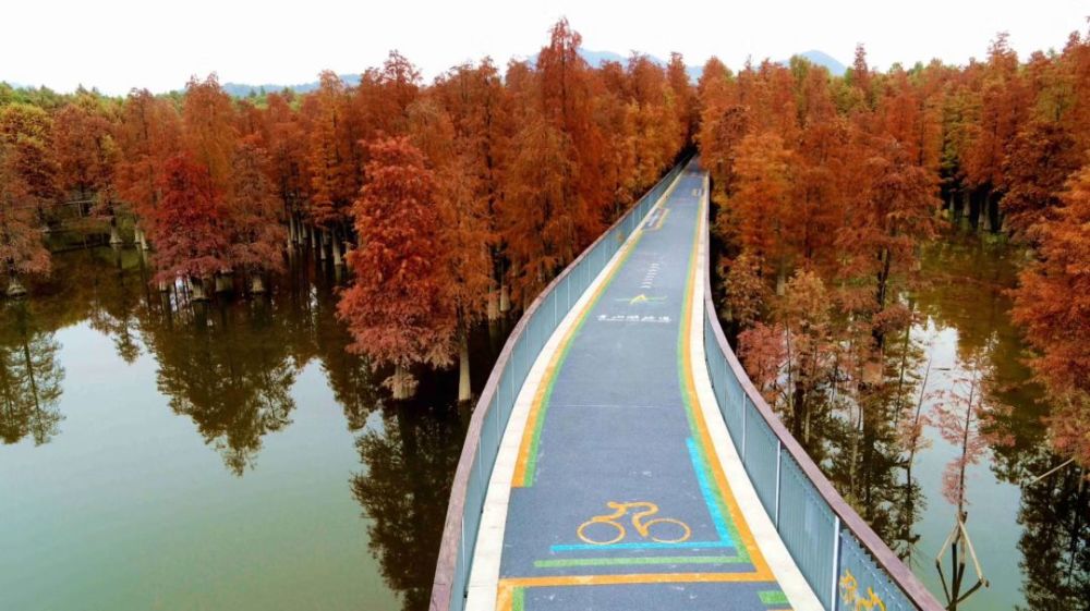 城门口迎面的青山湖,全线开放的绿道是市民骑行走路的好去处,璀璨的