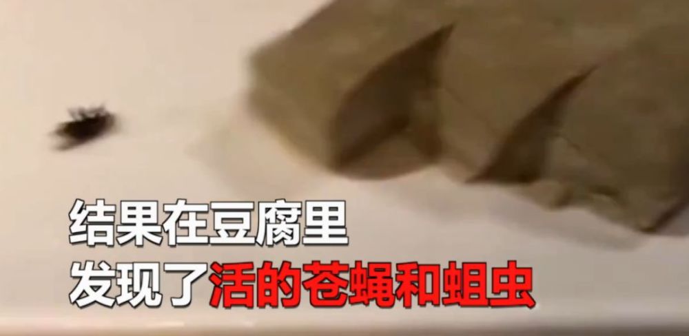 女子火锅店吃饭发现豆腐里有苍蝇和蛆虫,告知火锅店后