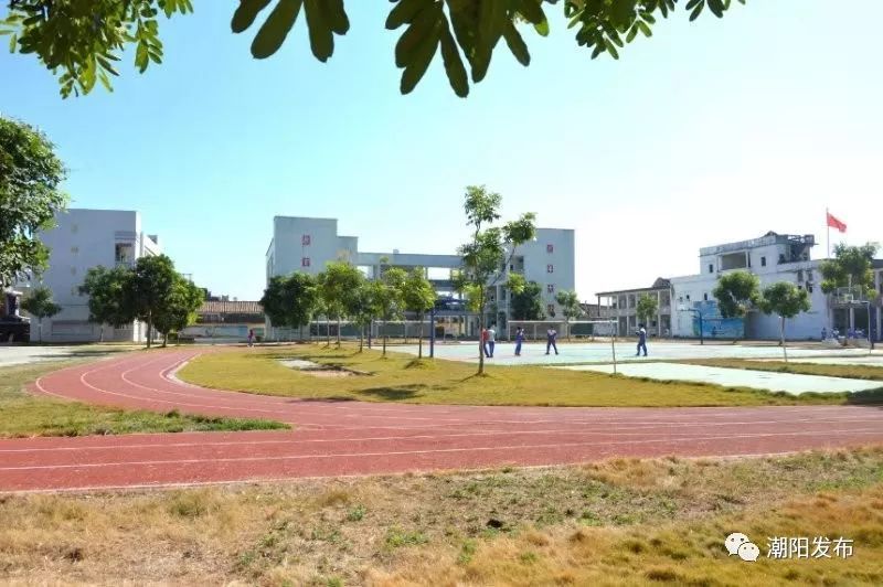 金灶镇前洋村颜值杠杠!