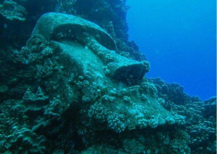 深海,海洋,深海10000米,深海下面,深海探测