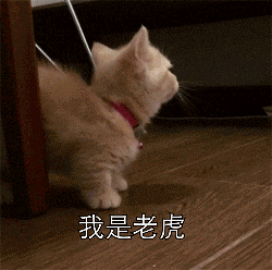 网友评论过于真实!