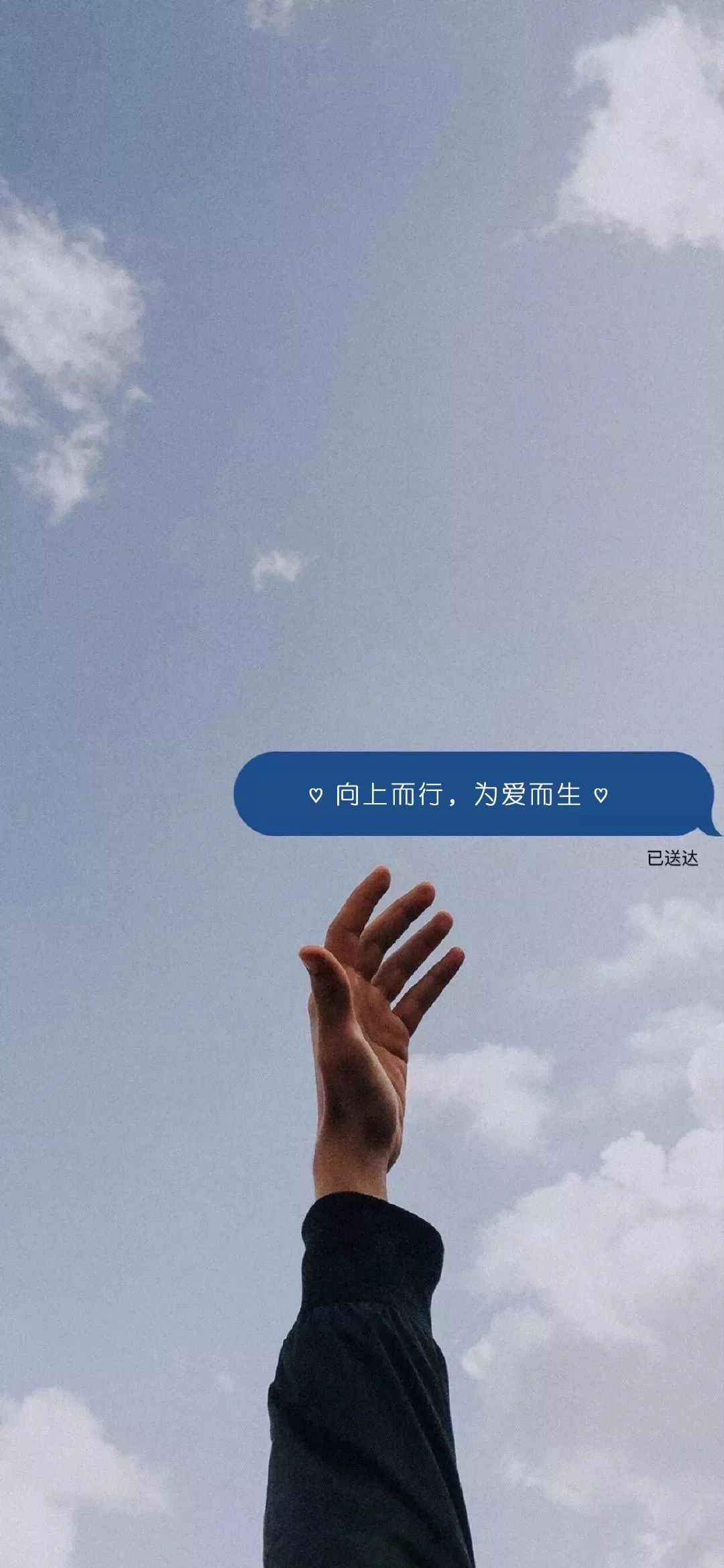 抖音最火壁纸