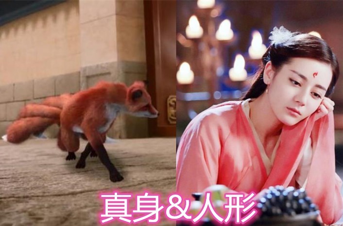 "真身vs人形",凤九呆萌,夜华凶狠,小巴蛇少辛堪称人生