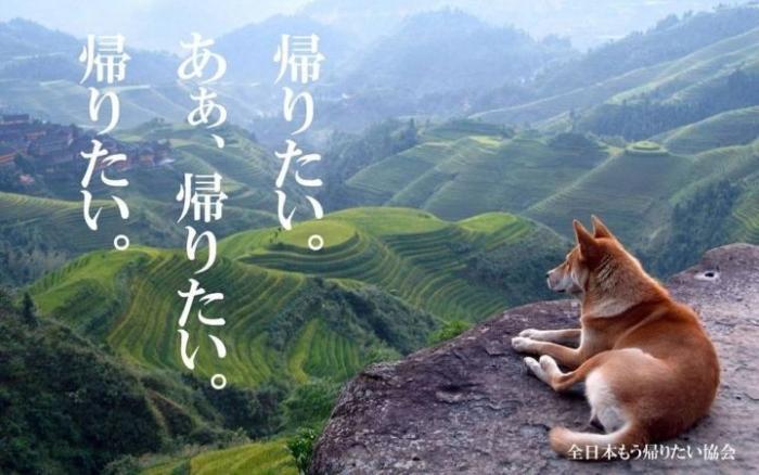 日本"想回家协会"10句想回家心情语录,看你被戳中几句