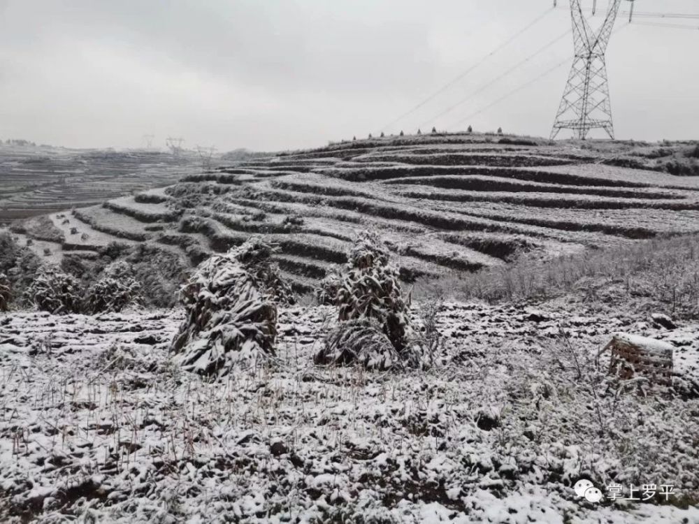 罗平,阿岗镇,马街,富乐,初雪