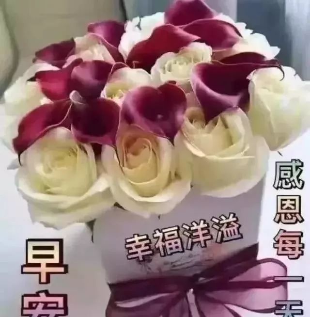 清晨群发早上好表情图片 早安问候语温馨短句配图