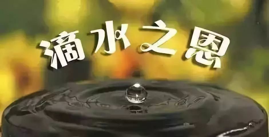 父母,知己,贵人,兄弟