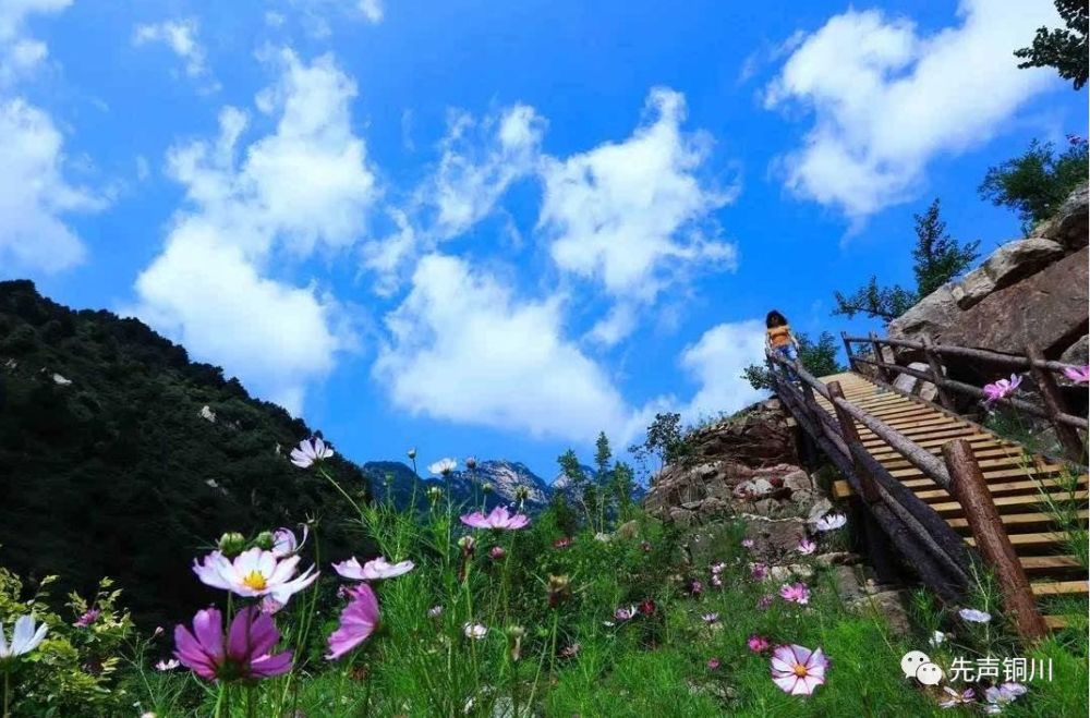 旅游景区,花溪谷,铜川,4a