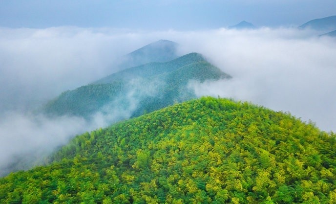 江南古镇,旅游业,莫干山风景名胜区,浙江,古镇,湖州