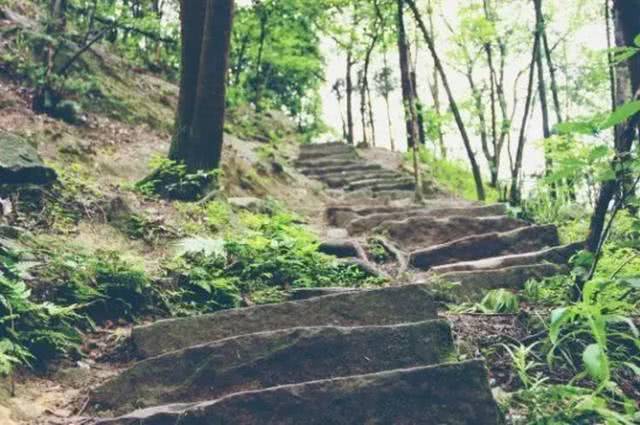 到重庆这些清幽的登山步道,去寻找诗和远方