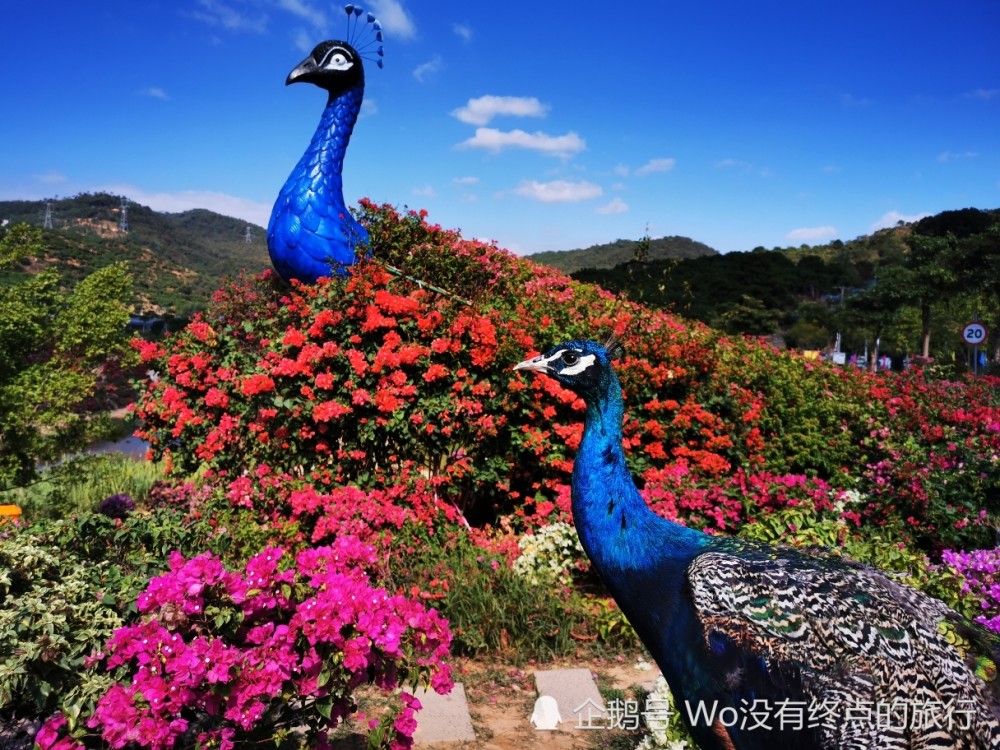 厦门乡村,最美乡村,同安古坑村