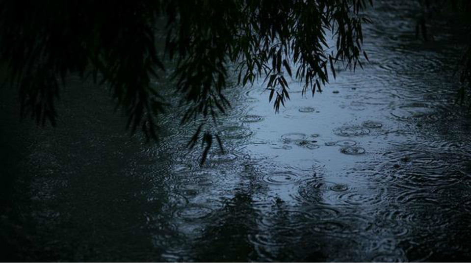 纳兰性德在雨夜思念妻子,信手拈来写下一首词,通篇写得很伤感